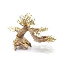 Whimar – Legno Decorativo Bonsai: Aggiungi un Tocco di Eleganza al Tuo Ambiente