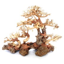 Whimar – Decor Family Bonsai Wood: Aggiungi un Tocco di Eleganza alla Tua Casa