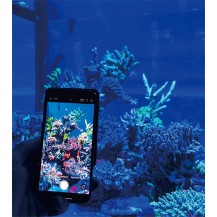 Maxspect TrueReef Filter Lens per coralli e acquari marini LED blu  | AquariumClick