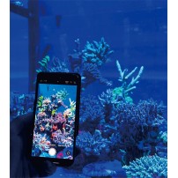 Maxspect TrueReef Filter Lens per coralli e acquari marini LED blu  | AquariumClick