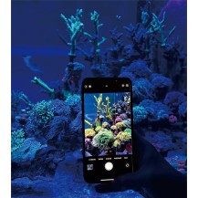 Maxspect TrueReef Filter Lens per coralli e acquari marini LED blu  | AquariumClick