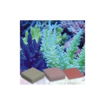 Integratore di Potassio Korallen-zucht - Automatic Elements Pohl`s K-Balance