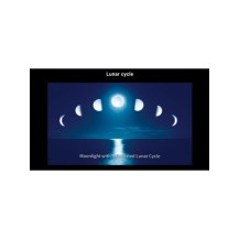 Maxspect ETHEREAL INFINITE E8 - Plafoniera LED 230W per Acquario Marino - Luce Perfetta per il tuo Acquario