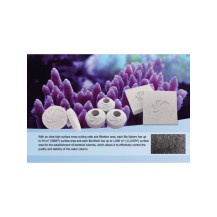 Maxspect NANO TECH BIO PLUGS - 25 Pezzi per la Taleazione dei Coralli