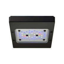 Plafoniera Led Ecotech Marine Radion XR15w G6 Pro - Luce Perfetta per Acquari Marini 18x18cm