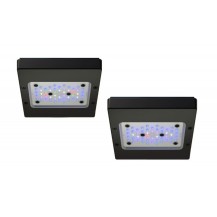 Plafoniera Led Ecotech Marine Radion XR15w G6 Pro - Luce Perfetta per Acquari Marini 18x18cm