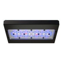Plafoniera Led Ecotech Marine Radion XR30w G6 Blue - L'illuminazione ideale per il tuo acquario marino