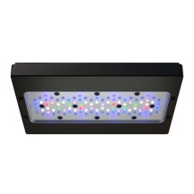 Plafoniera Led Ecotech Marine Radion XR30w G6 Pro - L'illuminazione ideale per il tuo acquario marino