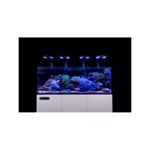 Maxspect MJ-L260 - Plafoniera LED 60W Blue Edition Jump: Luce Perfetta per il tuo Acquario