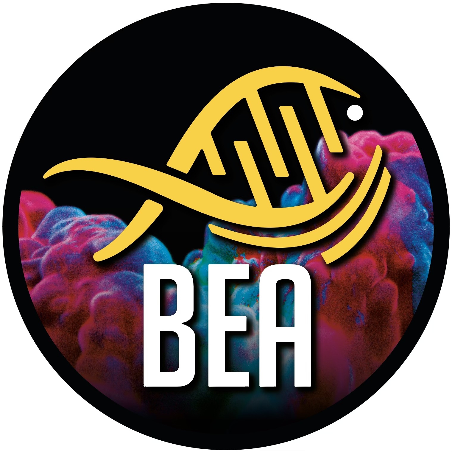 586922829_122100723285133671_3094494787059313320_n Guida anti-cianobatteri - BEA